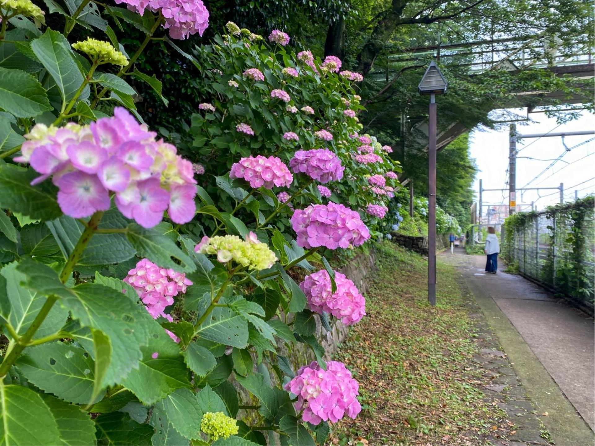 Bisk Park Higashi-jujo Gasthof *