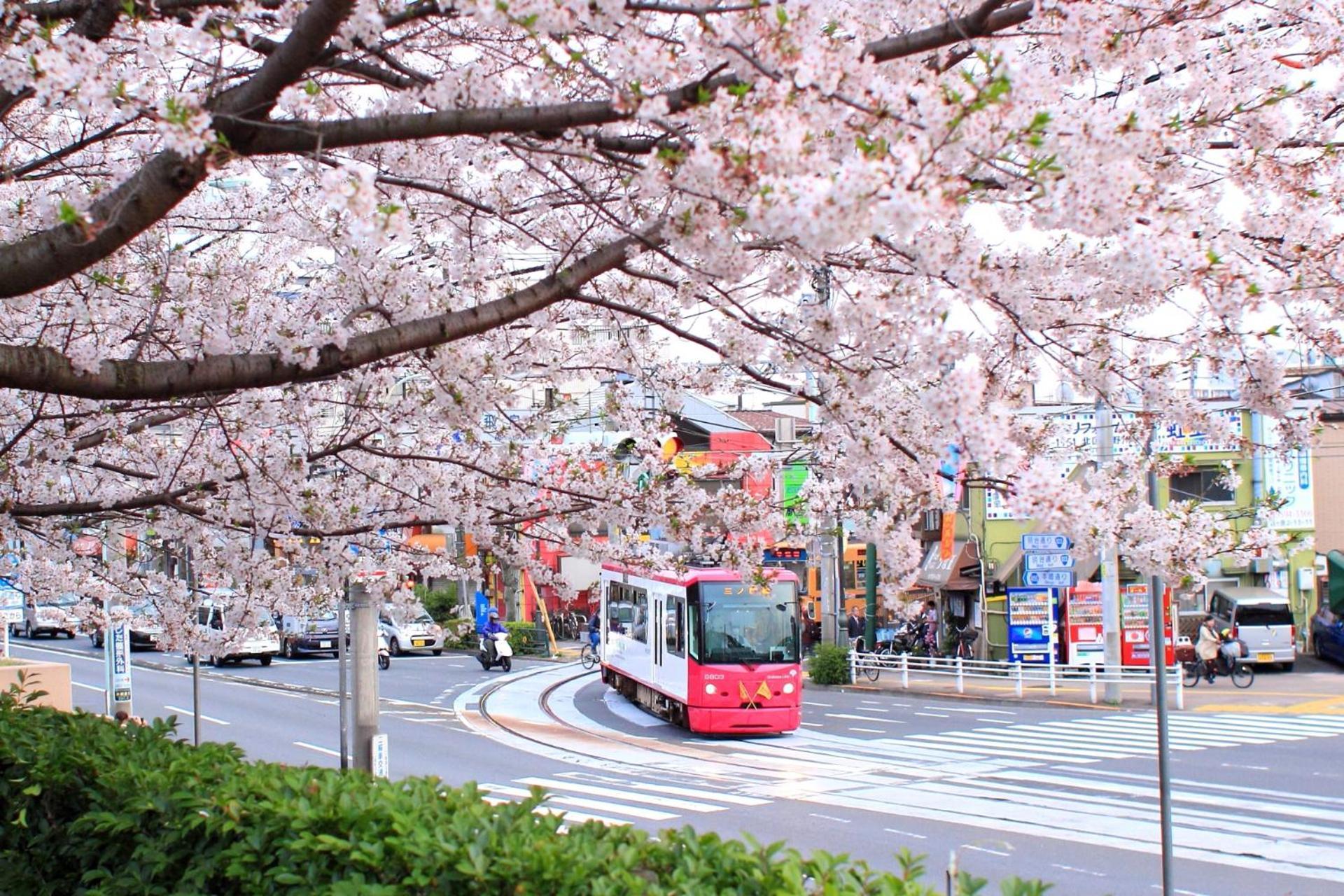 Gasthof Bisk Park Higashi-jujo *